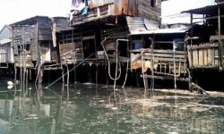GMSSSKM Sambut Baik Pemkot Samarinda Tutup Rumah Potong Ayam di Pasar Segiri