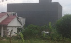 Rumah Walet Menjamur di Nunukan, Perlu Diatur Perda