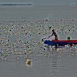 Tali Rumput Laut Mengancam Keselamatan Pelayaran di Nunukan