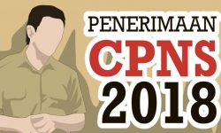 Inilah Ketentuan Rekrutmen CPNS 2018 dari Jalur Fomasi Khusus