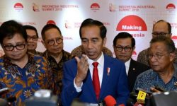 Jokowi Perpanjang Moratorium Perluasan Perkebunan Kelapa Sawit