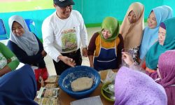 Lumbung Belajar Binusan Kembangkan Amplang dari Rumput Laut