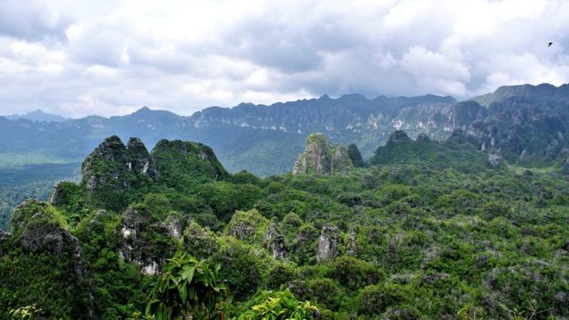 AA