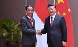 Jokowi-Jinping Bahas Kemudahan Ekspor Sarang Burung Walet ke RTT