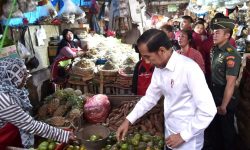 Jokowi Beli Kedondong dan Jeruk Nipis di Pasar Minggu