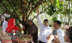Bulan Agustus, Nilai Tukar Petani di Kaltim Naik 0,20 Persen