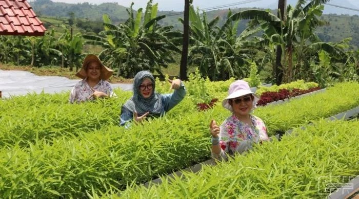 aa