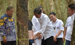 Jokowi Perintahkan Menteri PUPR Beli Karet untuk ‘Ngaspal’ Jalan