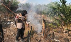 Pemerintah Segel 19 Konsesi di Kalbar Terkait Karhutla