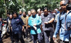2019, Tahun Reklamasi dan Rehabilitasi Hutan Besar-besaran