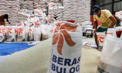 21 Ribu Ton Beras Penuhi Kebutuhan Kaltim Hingga 7 Bulan