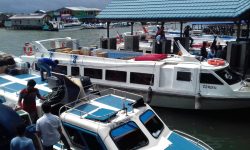 Perhari Rerata Penumpang 15 Orang, Omzet Pengusaha Speedboat Reguler Anjlok