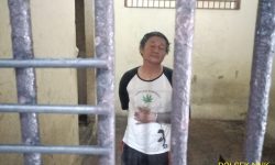 Penikam Istri dan Mertua Ditangkap di Kolong Rumah Warga