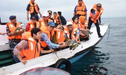 Aji Erlinawati: Penyu Bisa Menjadi Obyek Wisata Baru di Bontang