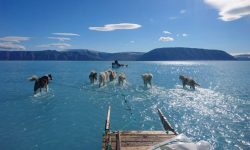 Lautan Es di Greenland Meleleh SecaraTtidak Lazim, Peneliti Peringatkan Dampaknya ke Dunia
