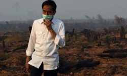 Mahkamah Agung Vonis Presiden Joko Widodo Melanggar Hukum dalam Kasus Kebakaran Hutan