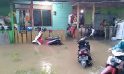 Banjir Rendam 70 Rumah Warga di Kecamatan Nunukan