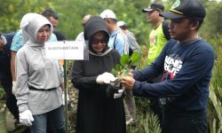 Mangrove Mesti Dijaga Untuk Kelestarian Lingkungan Hidup