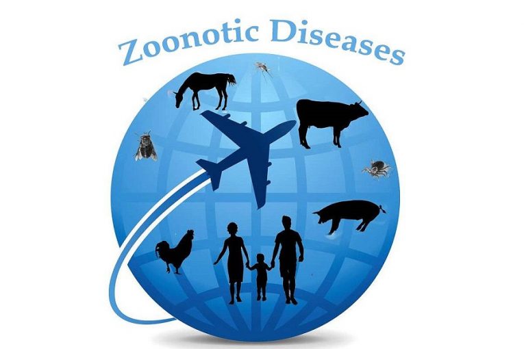 Presiden Instruksikan Menkes Tingkatkan Pencegahan dan Pengendalian