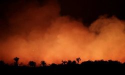Kebakaran Amazon, Presiden Prancis: ‘Rumah Kita Sedang Terbakar’