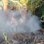 Lahan Seluas 1 Hektare Sengaja Dibakar Pemiliknya