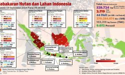 Atasi Karhutla, Kepala BNPB: Butuh Dukungan Semua Pihak