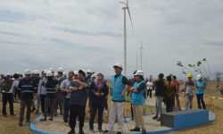 PLTB di Jeneponto 72 MW Sukses Beroperasi Komersial