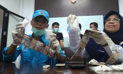 Penyitaan 1 Kg Sabu Selamatkan 12 Ribu Orang