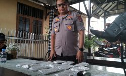 Buruh Bangunan Gagal Jual 13 Ribu Butir Pil Koplo