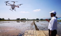 Tabur Pupuk dan Benih, Petani di Sukoharjo Gunakan Drone
