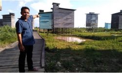 Desa Sebelimbingan Lokalisasi Rumah Walet di Lahan Seluas 100 Hektar