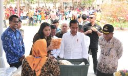 Jokowi: Modal Usaha Jangan Dipakai Beli Baju Bagus