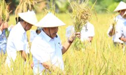 Petani Kutim Berpeluang Pasok Kebutuhan Pangan ke IKN