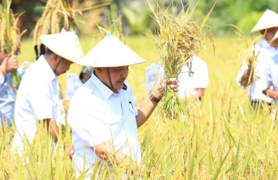 Kesejahteraan Petani di Kaltim: Indikator Makro Positif, tapi Kondisi Riil Perlu Perhatian Serius