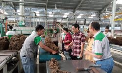 Pekerja Lokal Mendominasi, PT MKC Ikut Andil Tingkatkan Perekonomian Warga Palaran