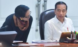 Presiden: Buka Investasi Untuk Industri Substitusi Impor Dibuka