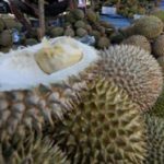 Sensasi Makan Durian Langsung di Tempat, Tidak Enak Bisa Ditukar