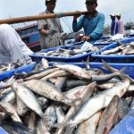 Tingkatkan Keselamatan, BMKG Dorong Nelayan Manfaatkan Aplikasi InfoBMKG