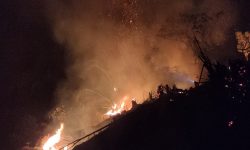 Karhutla di Kampung Satu Tarakan, Pembakarnya Ditangkap