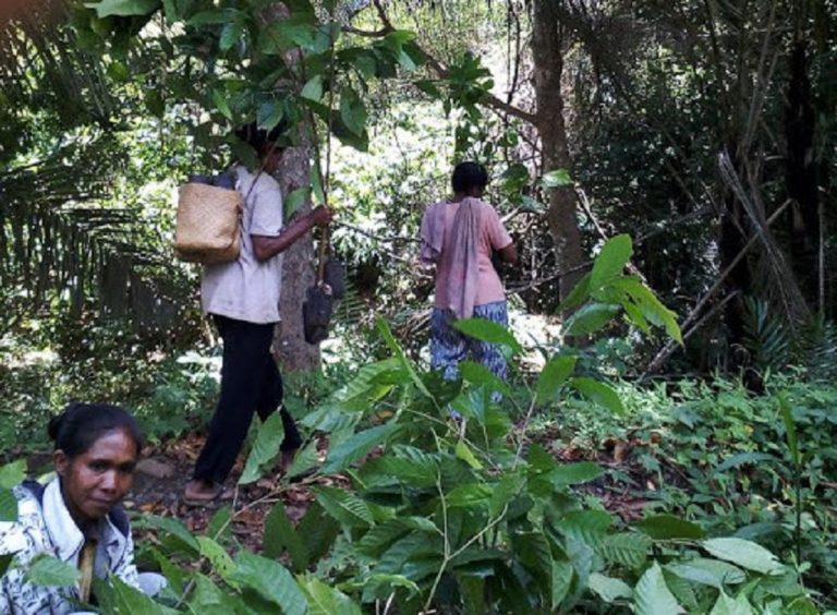 NTP April 2020 Masih Lebih Tinggi Dibandingkan Indeks Harga yang