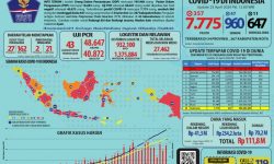 UPDATE COVID-19 di Indonesia: Kasus Meninggal Cenderung Turun