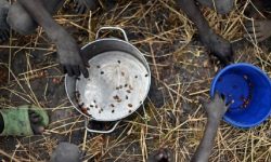 PBB: Dunia Terancam Dilanda Bencana Kelaparan Akibat Pandemi Covid-19