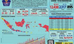 Info Grafis COVID-19 Nasional