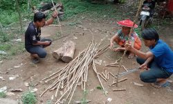 Di 18 Kecamatan di Kutim, Tanam Pangan di Pekarangan Dilakukan Hingga di Desa