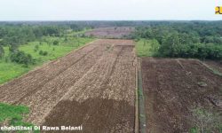 Pemerintah Optimalisasi Produksi 165.000 Hektar Lahan Pangan di Kalteng Tahun 2020-2024