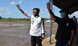 Pemerintah Dorong Provinsi Kalimantan Tengah Menjadi ‘Food Estate’