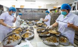 China Mendorong Penggunaan Pengobatan Tradisional untuk COVID-19