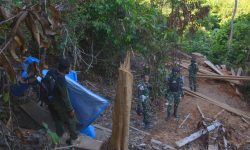 KPPH Polhut Nunukan Musnahkan Kayu Olahan di Hutan Lindung
