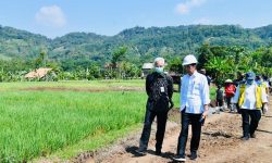 Presiden Jokowi Tinjau Proyek Padat Karya Irigasi di Batang, Jateng
