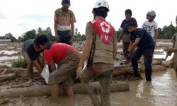 Angka Sementara: 21 Warga Meninggal Akibat Banjir Bandang Luwu Utara